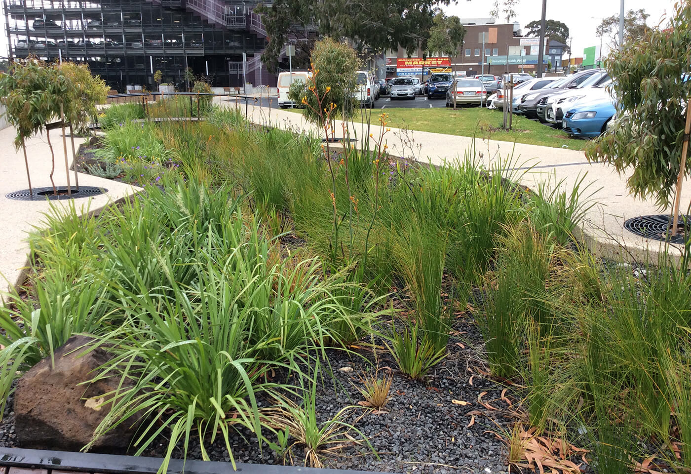 Future Water Demand Models to Grow our Urban Forest - Living Melbourne