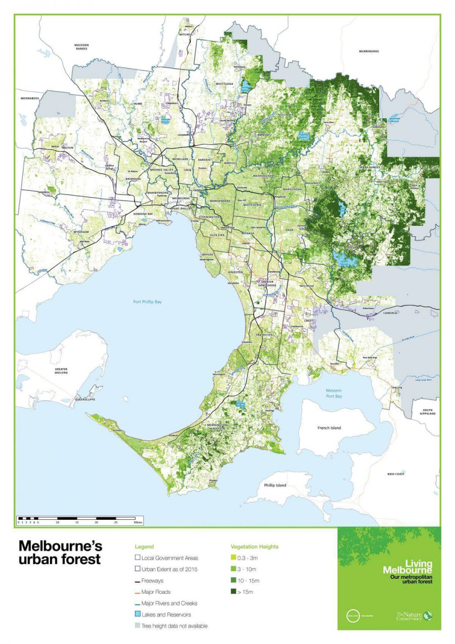 urban-map